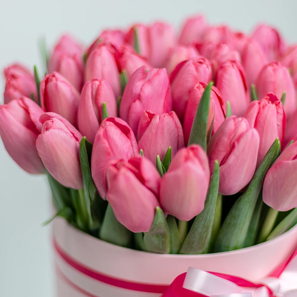 Букет розовых тюльпанов